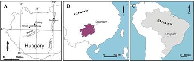 Microbially Mediated Ore-Forming Processes and Cell Mineralization